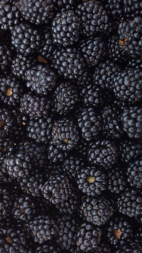 Blackberries Aesthetic, Blackberry Aesthetic, Blackberry Wallpaper, Witch Recipes, Kitchen Witch Recipes, High Quality Wallpaper, Iphone Theme, Quality Wallpaper, Kitchen Witch