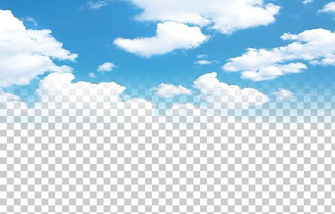 Sky Background Png, May Background, Sky Png, Tree Photoshop, Sky Textures, Blurred Background Photography, Png Background, Green Background Video, Blur Background In Photoshop