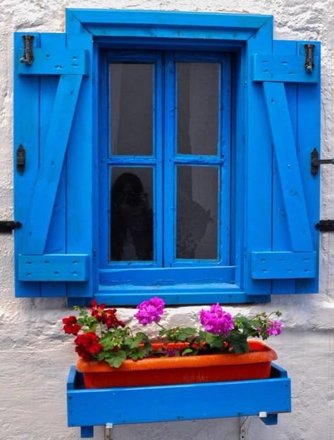 Bodrum, Turkey                                                                                                                                                                                 More French Townhouse, Greek Homes, Blue Windows, Diy Shutters, Bodrum Turkey, Blue Shutters, Window Box Flowers, Shutters Exterior, House Window