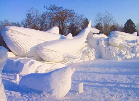 Whales Snow Sculpture Snow Sculptures, Ice Art, Ice Castles, Snow Art, Snow Fun, Sand Sculptures, Ice Sculptures, Wow Art, Sand Art