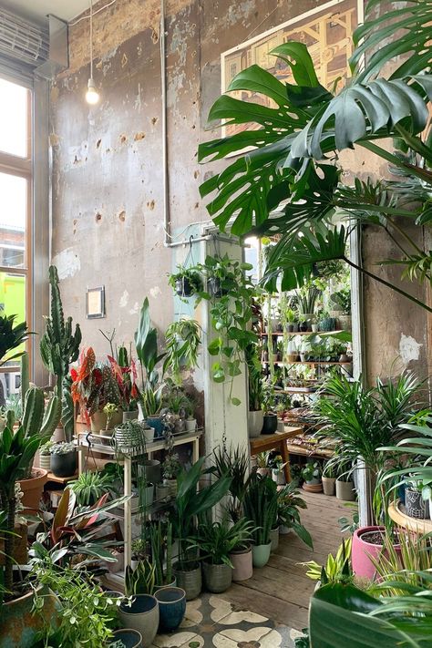 Things to do in Hackney Central: A local's guide | CN Traveller Urban Jungle Bedroom, Interior Inspiration Living Rooms, Hackney London, Jungle Room, City Illustration, Local Guide, Room Inspiration Bedroom, Balcony Garden, Apartment Room