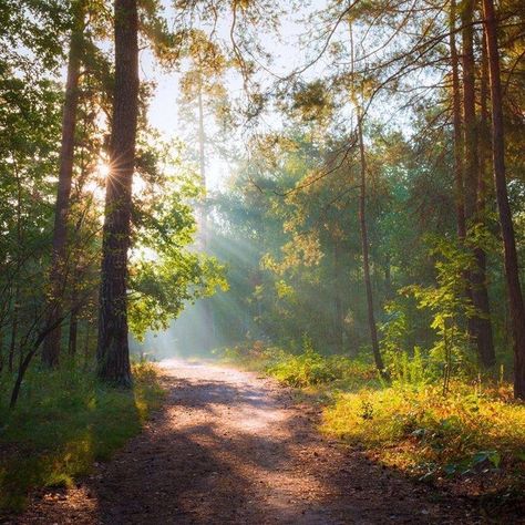 Road Painting, Bridge Painting, Oil Painting Inspiration, Landscape Photography Nature, Landscape Art Painting, Aesthetic Painting, Morning Sun, Natural Scenery, Beautiful Scenery Nature