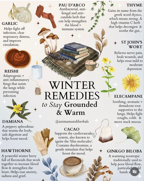 Winter Remedies, Medicinal Herbs Garden, Medical Herbs, Magic Herbs, Magical Herbs, Herbal Recipes, Herbal Apothecary, Natural Healing Remedies, Herbal Healing