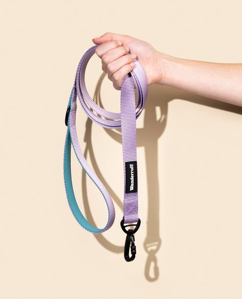 THE DAISY KIT IS HERE! 💖 and our dog leash, harness, and collar are rocking those vibrant vibes! Soft lilac webbing paired with a contrasting teal padded handle for your absolute comfort during those epic walks with your best bud. Now, even the little pups can strut their stuff with XS sizes and the choice of back and front clips! Let's hit the pavement in style! Dog Walk, Gift Giver, Eco Friendly Packaging, Metal Accessories, Neck Strap, Recycle Plastic Bottles, Eco Conscious, Dog Accessories, Dog Leash