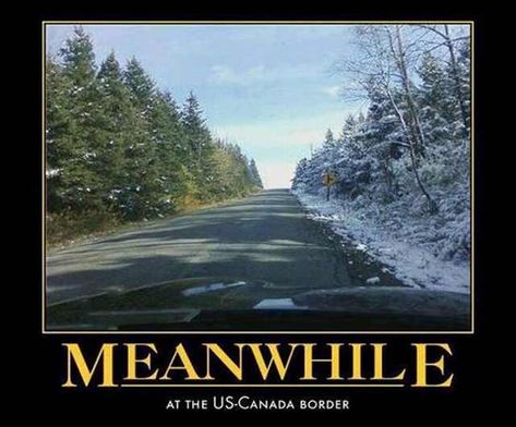 Some Things You'll Only See in Canada... Canadian Memes, Canada Memes, Mean While, Canadian Humor, Meanwhile In Canada, Canadian Things, Demotivational Posters, Us Border, Bones Funny