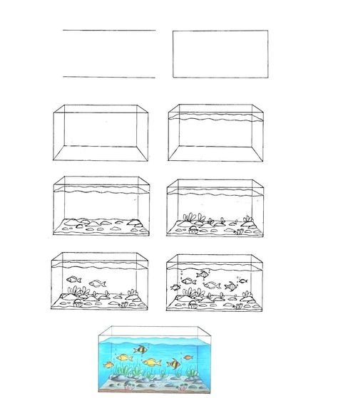 How To Draw an Aquarium - Step By steps Guide 1 How To Draw An Aquarium, Fish Tank Drawing, Aquarium Drawing, Lol Coloring Pages, Lol Coloring, Drawn Fish, Fish Drawings, Basic Drawing, Sketch Pad