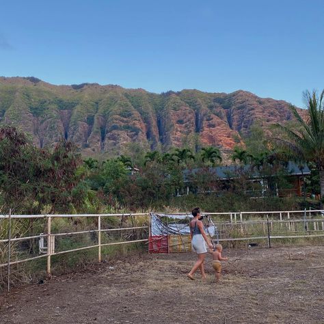 Homesteading In Hawaii, College In Hawaii Aesthetic, Hawaii Life Aesthetic Family, Hawaii Ranch, Hawaii Farm, Hawaiian Lifestyle, North Shore Oahu Aesthetic, Fiji Travel, Going Off The Grid