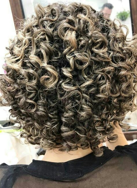 Braids Hairstyles Updo, Frosted Tips, Short Permed Hair, Short Curly Hairstyles For Women, Permed Hair, Curly Hair Photos, Curly Haircuts, Pinterest Hair, Hair Idea