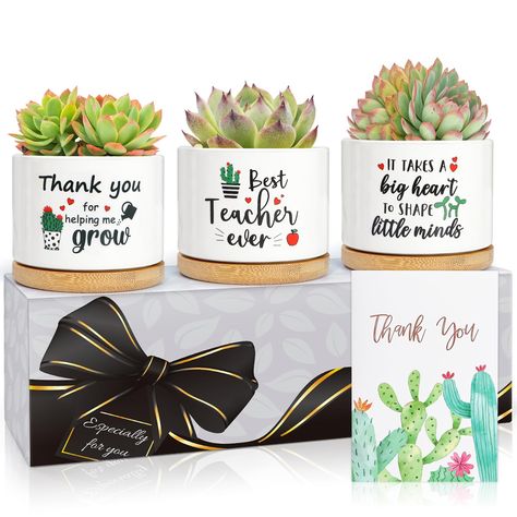 Bulk teacher gifts