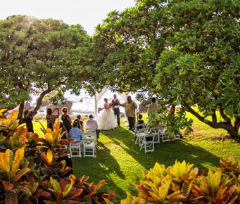 Top 10 Hawaii Wedding Locations | Best Hawaii Reception Venues Kona Beaches, Waimea Valley, Dream Venue, Beach Bungalows, White Horses, Hawaii Wedding, Big Island, Sandy Beaches, Wedding Coordinator