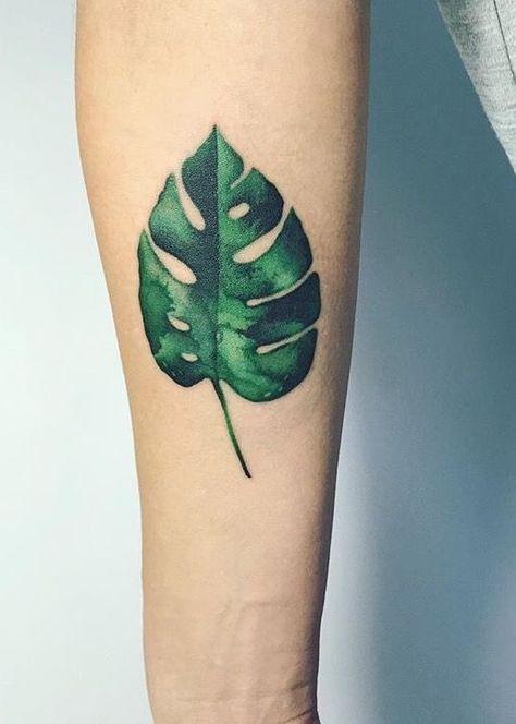 35 Plant Tattoo Ideas & Inspiration - Brighter Craft Plant Tattoo Ideas, Mandala Arm Tattoo, Green Tattoos, Leaf Tattoo, Dragon Tattoo For Women, Marquesan Tattoos, Omerta Tattoo, Hawaiian Tattoo, Nordic Tattoo