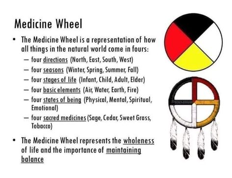 Native American Medicine Wheel, Native American Language, Native Beauty, Indigenous Studies, Indigenous Education, Native American Spirituality, Indigenous Knowledge, Native American Wisdom, Connection With Nature