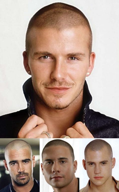 Boys Haircuts: 50 Best Styles for Young Men Good Looking Bald Men, David Beckham Pictures, Induction Cut, Low Maintenance Haircut, Bald Men, Corte De Cabelo Masculino, Homemade Face Masks, Crew Cuts, Buzz Cut