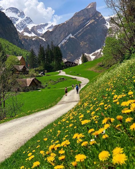 ⠀ Beautiful strolls through the Swiss countryside 😍 Who’d you hike here with? Photo by @justyna0119 Always #wondermore ⠀ Follow… Appenzell Switzerland, Hiking Scenery, Prostate Surgery, Alam Yang Indah, In The Mountains, Nature Travel, Most Beautiful Places, Wonderful Places, Nature Pictures