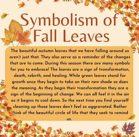 Autumn Equinox Spells, Autumnal Equinox Quotes, Leaf Symbolism, Magnolia Meaning, Solitary Mabon Ritual, Autumn Equinox Affirmations, Leaves Meaning, Season Quotes, Beautiful Leaves