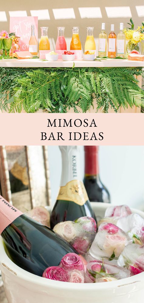 Elevate your brunch experience with these irresistible mimosa bar ideas, featuring unique flavors, garnishes, and presentation tips. Mimosa Bar Engagement Party, Mimosa Table Ideas, Cotton Candy Mimosa Bar, Mimosa Bar Ideas Bridal Party, Mimosa Display, Mimosa Garnish, Mimosa Bar Set Up, Bridal Shower Mimosa Bar Ideas, Mimosa Bar Ideas Brunch Party