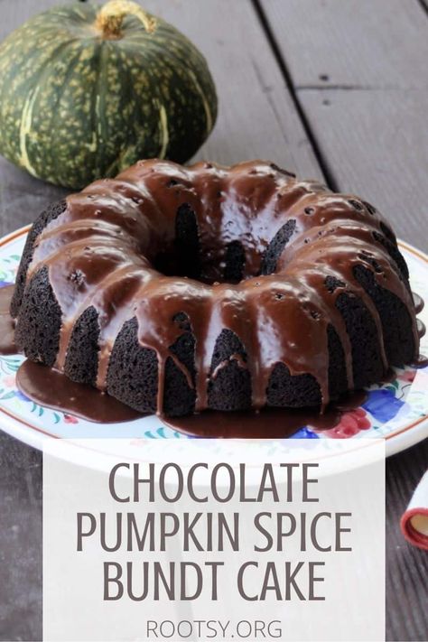 Pumpkin Spice Bundt Cake, Spice Bundt Cake, Bunt Cake Recipe, Pumpkin Cake Recipe, Chocolate Pumpkin Cake, Pumpkin Bundt Cake, Pumpkin Cake Recipes, Impressive Desserts, Chocolate Pumpkin