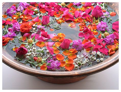 Flower bath Flower Ritual, Full Moon Bath, Womb Wisdom, Spirit Warrior, Wellness Workshop, Botanical Bath, Moon Bath, Spiritual Bath, Herb Gardening