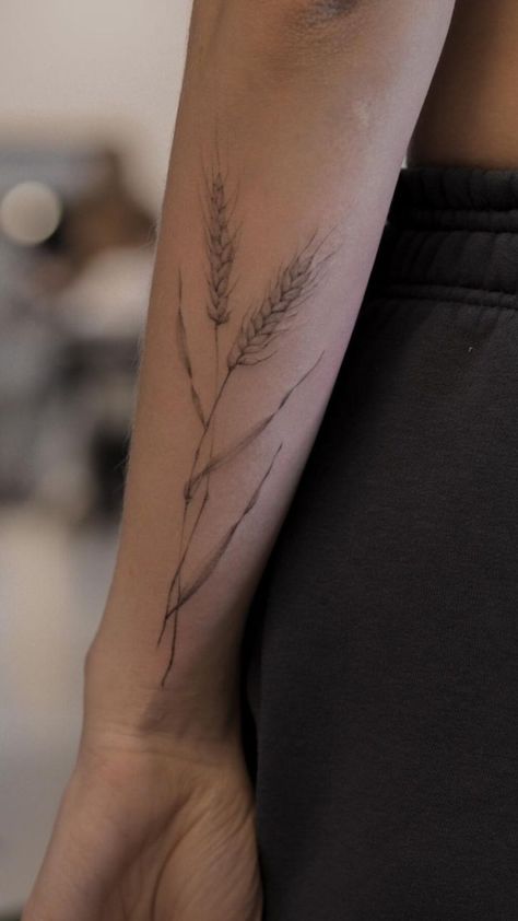 Rose And Wheat Tattoo, Canola Flower Tattoo, Wheat Stalk Tattoo, Sunflower And Wheat Tattoo, Oats Tattoo, Straw Tattoo, Wheat Tattoos For Women, Grass Tattoo Design, Cattail Tattoo