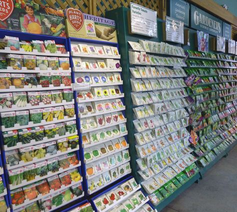 Seeds, seeds, and more seeds. What will you plant this year? Seedlings Aesthetic, Save Seeds From Produce, Seed To Stem Store, Seed Inventory, Seed Companies, Garden Center Displays, Seed Shop, Seed Catalogs, Fruit Seeds