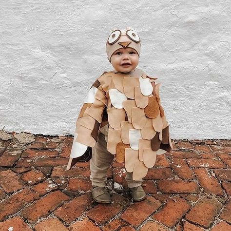 Mary Castaneda (@marykailah) • Instagram photos and videos Diy Owl Costume, Owl Costume Kids, Owl Costume Diy, Kids Costume Ideas, Owl Halloween Costumes, Halloween Diy Kids, Diy Owl, Owl Costume, Solly Baby