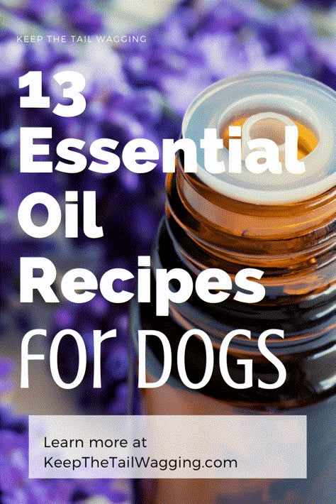 Pet Safe Diffuser Blends, Dog Friendly Essential Oil Blends, Essential Oils For Dogs, Diy Dog Cologne Recipes, Dog Friendly Essential Oils, Essential Oil Recipes Safe For Dogs, Essential Oils Safe For Dogs, Essential Oils And Pets, Calming Essential Oils For Dogs