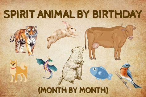 How to Identify Your Spirit Animal by Birthday? (Month by Month) Birth Animals By Month, Spirit Animal Quiz, Birth Animal, Month Animals, Elephant Shrew, Animal Quiz, Fox Spirit, Mandrill, Spirit Animals