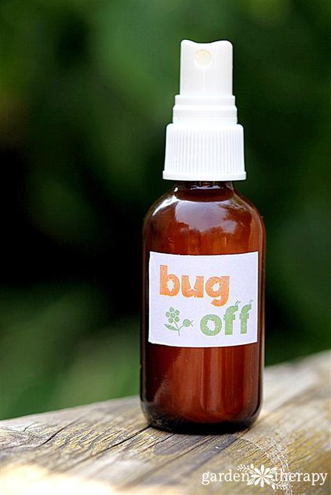 Natural Homemade Bug Spray Recipe with essential oils Natural Bug Spray Recipe, All Natural Bug Spray, Bug Spray Recipe, Natural Bug Spray, Citronella Essential Oil, Mint Essential Oil, Bug Off, Bug Spray, Lemongrass Essential Oil