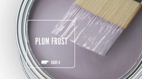 PLUM FROST 660F-4 | Behr Paint Colors Behr Purple Grey Paint Colors, Best Pale Purple Paint Colors, Grey Purple Paint Bedroom, Purple Behr Paint Colors, Lavender Grey Bathroom, Purple Nursery Paint Colors, Behr Purple Paint Colors, Gray And Purple Aesthetic, Dusty Purple Paint