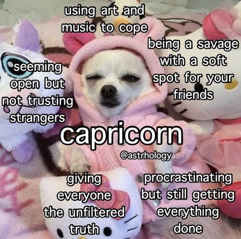 Capricorn Girl, Libra Quotes Zodiac, Aries Zodiac Facts, Zodiac Signs Chart, Capricorn Life, Taurus Zodiac Facts, Horoscope Capricorn, Capricorn Quotes, Libra Zodiac Facts