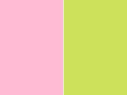 Color Combos That Are Dating Your Space | HGTV Color Duos, Green Baby, Vs Pink, Baby Pink, Lime Green, Color Combos, Pink Color, Green Colors, Pink And Green