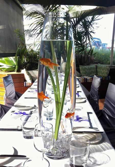 Goldfish centrepiece Fish Wedding Centerpieces, Goldfish Centerpiece, Fishbowl Centerpiece, Fish Centerpiece, Beach Centerpieces, Aquarium Wedding, Fish Vase, Fishing Wedding, Wedding Hall Decorations