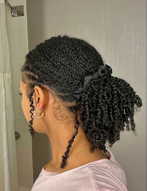 Mini Twists Natural Hair, Hairstyle For Black Women, Shirts Embroidery, Cabello Afro Natural, Twist Ponytail, Quick Natural Hair Styles, Natural Hair Twists, Quick Braided Hairstyles, Mini Twists