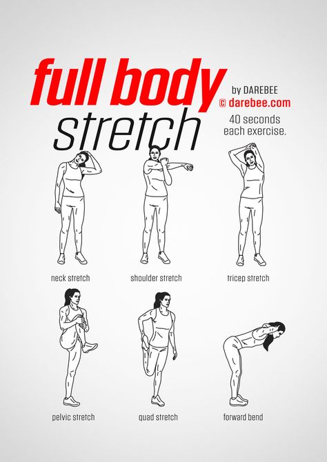 Full Body Stretch Stretches Before Workout, Before Workout, Workouts Cardio, Full Body Stretch, Latihan Yoga, Office Exercise, Body Stretches, Body Stretch, Easy Yoga Workouts