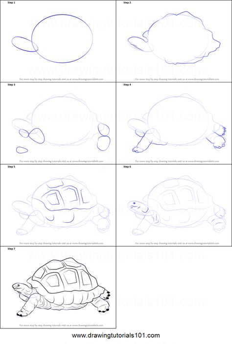 How to Draw a Tortoise printable step by step drawing sheet : DrawingTutorials101.com How To Draw A Tortoise Step By Step, How To Draw Tortoise, Tortoise Drawing Simple, How To Draw A Tortoise, How To Draw A Turtle Step By Step, Tortoise Printable, How To Draw A Turtle, How To Draw Turtle, Animals Step By Step