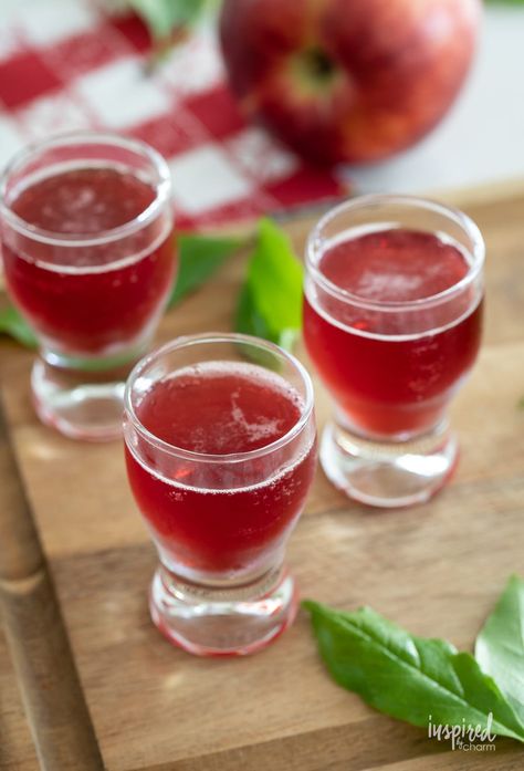 How to Make a Washington Apple Shot #recipe #shot #whiskey #apple #liquor #easy #appleshot #washingtonapple #cranberryjuice #applepucker Apple Liquor, Washington Apple Shot, Ice Cream Float Recipes, Apple Shots, Sour Apple Pucker, Canadian Whiskey, Holiday Punch Recipe, Unique Cocktail Recipes, Apple Pucker