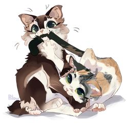 Pet Anime, Mary Virgin, Cats Art Drawing, Warrior Cats Fan Art, Warrior Cat Drawings, Warrior Cat Oc, Cat Oc, Cat Hacks, Warrior Cats Art