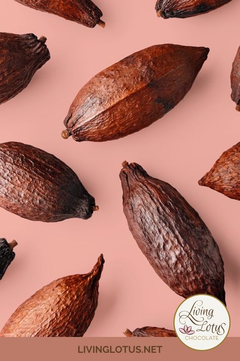 Cacao beans are pretty niftyand they go through a lot to become a chocolate barWe make bean-to-bar chocolatewhich means we make the purest form of chocolate straight from cacao beans within the walls of our own chocolate studioAll our products are vegangluten-freeand refined sugar-free. Cacao Photography, Chocolate Moodboard, Chocolate Salami Recipe, Chocolate Poster, Chocolate Bean, Bean To Bar Chocolate, Chocolate Walls, Ingredients Photography, Ginger Chocolate