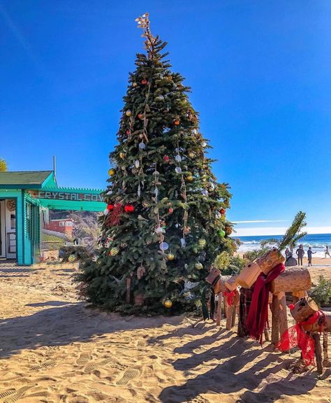 Christmas Tree on the Beach in California Cali Christmas, Christmas Beach Aesthetic, California Christmas Aesthetic, Florida Christmas Aesthetic, Christmas In California, Christmas Australia, Christmas In California Aesthetic, California Christmas, Christmas In Australia