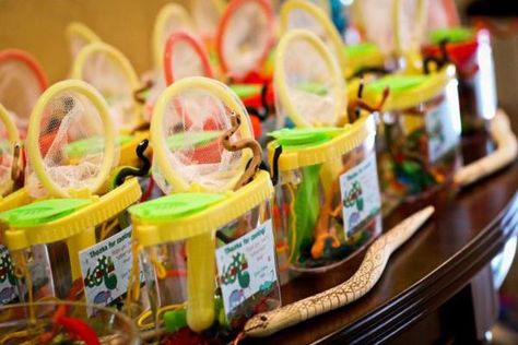 goody bags for reptile theme birthday party Wild Kratts Party, Snake Birthday, Snake Party, Animal Themed Birthday Party, Reptile Party, Bug Party, Snake Reptile, 5th Birthday Party Ideas, Wild Kratts