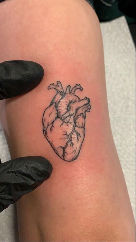 Human Heart Tattoo, Harry Tattoos, Anatomical Heart Tattoo, Small Heart Tattoos, Skeleton Hand Tattoo, Arm Tattoos For Women, Dainty Tattoos, Human Heart, Dope Tattoos