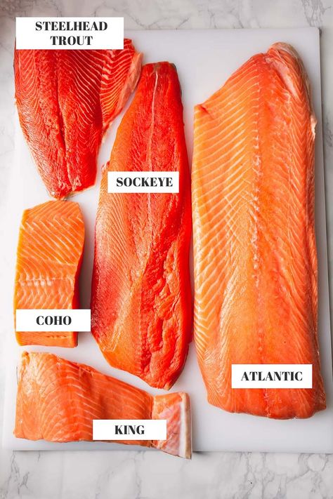 5 varieties of salmon filet: Atlantic, Coho, Sockeye, King and Steelhead Trout Wild Caught Sockeye Salmon Recipes, Alaskan Sockeye Salmon Recipes, Smoked Sockeye Salmon Recipes, Wild Sockeye Salmon Recipes, Atlantic Salmon Recipe, Atlantic Diet, Coho Salmon Recipes, King Salmon Recipe, Steelhead Trout Recipe