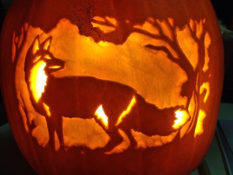 Maybe this will be our Halloween Pumpkin. Need to put my mad carving skills to test Fox. Fox Pumpkin Carving, Halloween Short Stories, Fox Pumpkin, Pumkin Carving, Pumpkin Carving Party, Creative Pumpkin Carving, Amazing Pumpkin Carving, Pumpkin Contest, Pumpkin Carving Designs