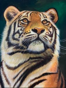 Tiger Painting Acrylic, Face Painting On Canvas, Tiger Face Painting, Tiger Artwork, Tiger Painting, Pichwai Paintings, Tiger Face, Acrylic Canvas, Paintings & Prints