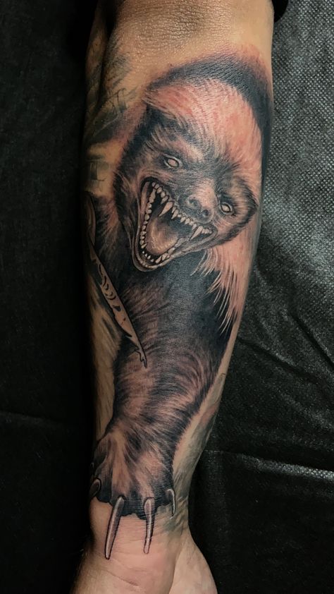 Honey Badger Tattoo Design, Honey Badger Drawing, Shadows Tattoo, Honey Badger Tattoo, Badger Tattoo, Shadow Tattoo, Knife Tattoo, Historic Art, Inspiration Tattoos