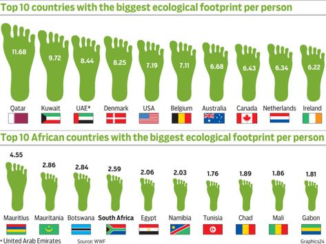 Technology Essay, Footprint Poster, Academic Services, Environmentally Friendly Living, Critical Essay, Ecological Footprint, Environmental Education, Teaching Social Studies, Circular Economy