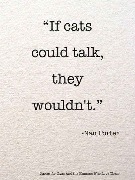 "If cats could talk, they wouldn't." - Nan Porter Kat Diy, Cat Quotes, Unwanted Hair, Animal Quotes, A Quote, Crazy Cat Lady, Crazy Cats, Cat Lady, Cat Love