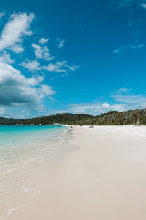 Whitehaven Beach, Summer Instagram, Europe Travel, A Dream, Around The Worlds, Vision Board, Around The World, Australia, Instagram Photos