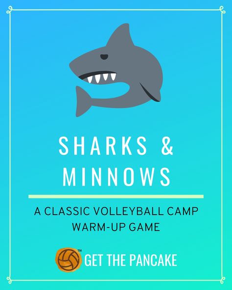 Volleyball Camp Warm-Up Game: Sharks and Minnows Volleyball Drills For Beginners, Summer Volleyball, Volleyball Warm Ups, Kids Volleyball, Prepare For Summer, Youth Volleyball, Volleyball Camp, Warm Up Games, Volleyball Skills