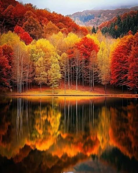 Landscape Tips, Fall Wallpapers, Autumn Wallpaper, Scenic Photography, Autumn Scenes, Autumn Scenery, Autumn Painting, Autumn Beauty, Painting Landscape